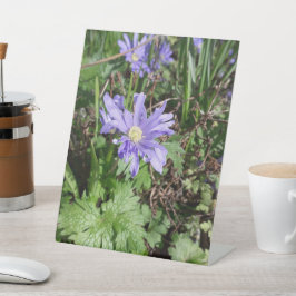 ブルーガーデンの花 台座サイン