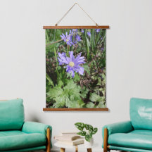 ブルーガーデンの花