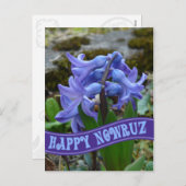 ブルーガーデンヒアシントイラン新年ノロズ シーズンポストカード (正面/裏面)