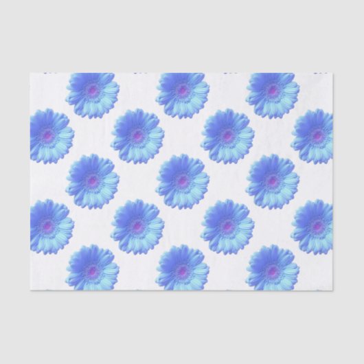 ブルーガーベラデイジー 薄葉紙 (正面)