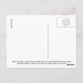 ブルーキャッロシアのトオングラスポストカードローラ子猫 ポストカード (裏面)