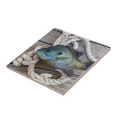 ブルーギルの魚を波止場とロープに タイル (側面)