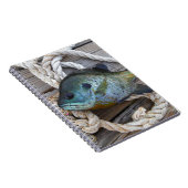 ブルーギルの魚を波止場とロープに ノートブック (右側)