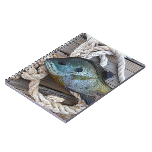 ブルーギルの魚を波止場とロープに ノートブック (左側)