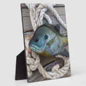 ブルーギルの魚を波止場とロープに フォトプラーク (側面)