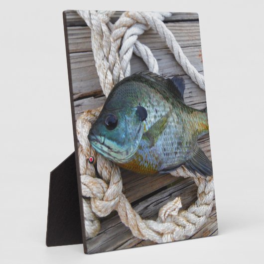 ブルーギルの魚を波止場とロープに フォトプラーク (側面)