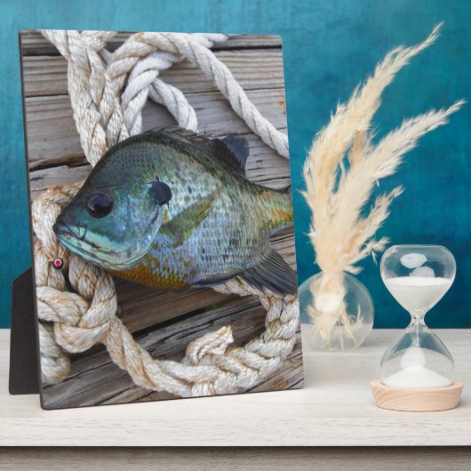 ブルーギルの魚を波止場とロープに フォトプラーク (側面)