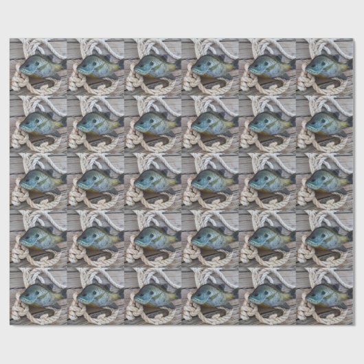 ブルーギルの魚を波止場とロープに ラッピングペーパー (フラット)