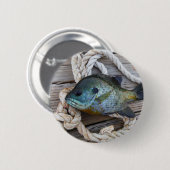 ブルーギルの魚を波止場とロープに 缶バッジ (正面&裏面)
