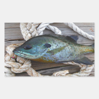 ブルーギルの魚を波止場とロープに 長方形シール