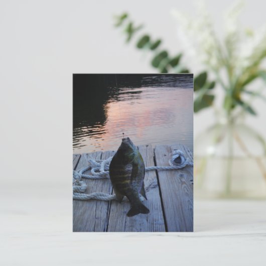 ブルーギルアットサンセットレイクの矢印 ポストカード (スタンド正面)