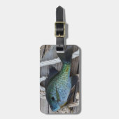 ブルーギルオン波止場 ラゲッジタグ (正面縦)