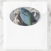 ブルーギルオン波止場 楕円形シール (バッグ)