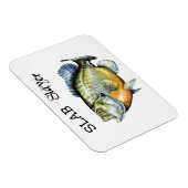 ブルーギルサンフィッシュスラブ層 マグネット (右側)