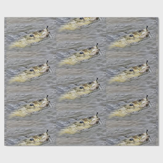ブルーギルテイクザベイト魚釣り ラッピングペーパー (フラット)