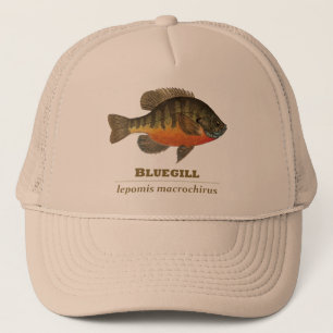ブルーギルブレム魚釣り キャップ