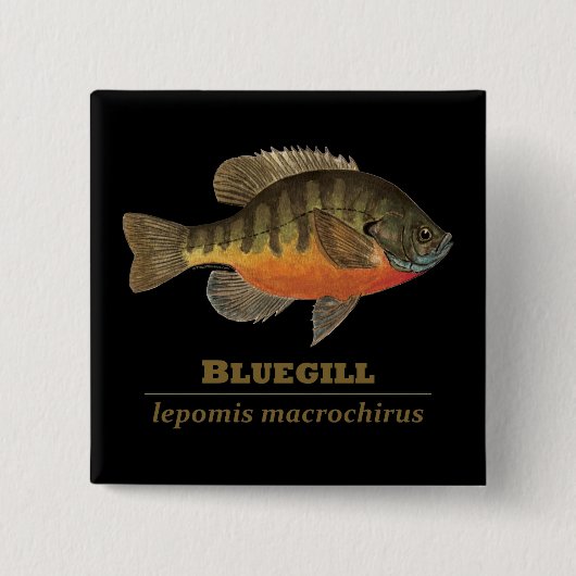 ブルーギルブレム魚釣り 缶バッジ (正面)