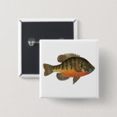 ブルーギルブレム 缶バッジ (正面&裏面)