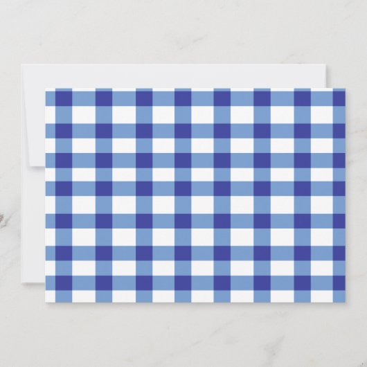 ブルーギンガム (正面)