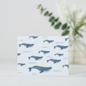 ブルークジラが海 ポストカード (スタンド正面)