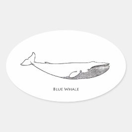ブルークジライラストレーション(ラインアート) 楕円形シール
