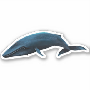 ブルークジラ シール