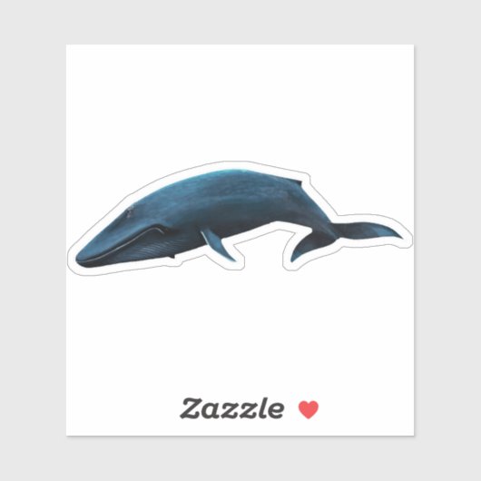 ブルークジラ シール (シート)