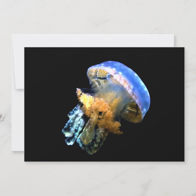 ブルークラゲ (正面)