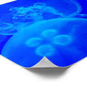 ブルークラゲ ポスター (角)