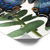 ブルークリッパーバタフライアートプリントポスター ポスター (角)