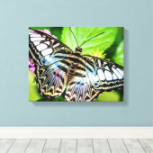 ブルークリッパーバタフライ キャンバスプリント (インサイチュ (ウッドフロア))