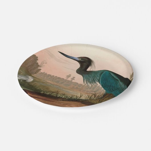 ブルークレーンまたはヘロンバードオブアメリカオードボンプリント ペーパープレート (アングル)