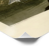 ブルークレーンヘロンアウドボン絵画ズ ポスター (コーナー)