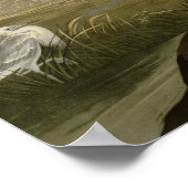 ブルークレーンヘロンアウドボン絵画ズ ポスター (角)