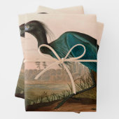 ブルークレーン/ヘロンバードオブアメリカオードゥボンプリント ラッピングペーパーシート (インサイチュ)