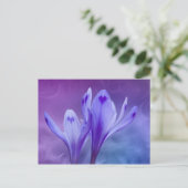 ブルークローカス ポストカード (スタンド正面)