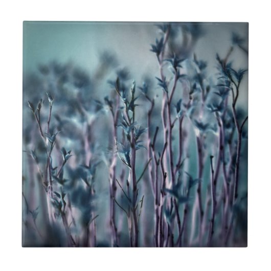 ブルーグラス タイル (正面)