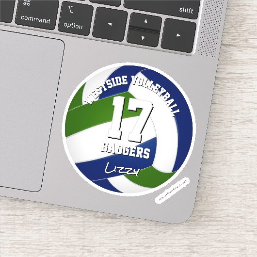 ブルーグリーンチームカラーバレーボール選手 シール (詳細)