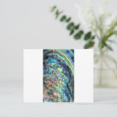 ブルーグリーンパウアアワラシェル詳細 ポストカード (スタンド正面)