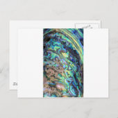 ブルーグリーンパウアアワラシェル詳細 ポストカード (正面/裏面)