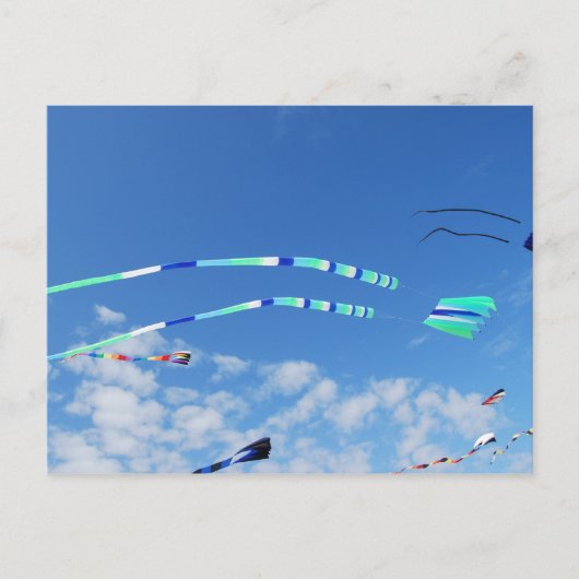 ブルーグリーンロングテールカイト ポストカード (正面)