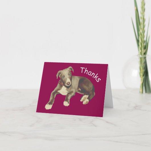ブルーグレイハウンドパピーパーソナライズされたサンキューカード カード (正面)