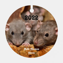 ブルーグレイパーソナライズされたダンボペットラット メタルオーナメント