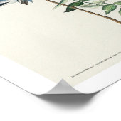 ブルーグレイ捕手オードボンポスター ポスター (角)