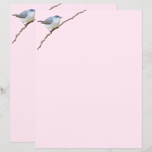 ブルーグレイ・グナットキャッチャー 鳥 ピンク文房具 (正面/裏面)