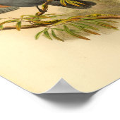 ブルーグレーカンペファガクッコバードヴィンテージプリント ポスター (角)