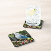 ブルーグレータネージャー コースター (右側)