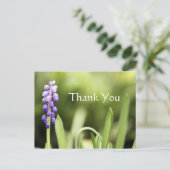 ブルーグレープ&グリーン写真 ポストカード (スタンド正面)