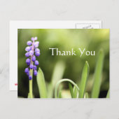 ブルーグレープ&グリーン写真 ポストカード (正面/裏面)