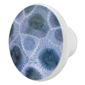 ブルーグレーペトスキーストーン セラミックノブ (右)